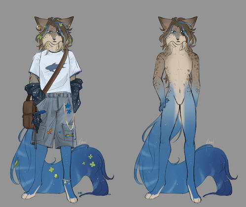 Shark Cat Adopt