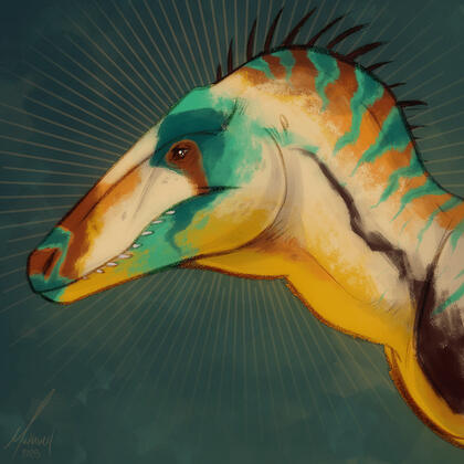 Spine Commission Example