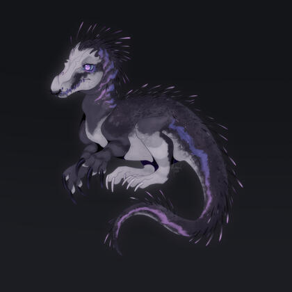 Atraxia Comm Example