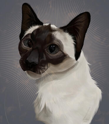A cat pet portrait commission! One of my favorites.