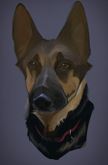 Max Gift
