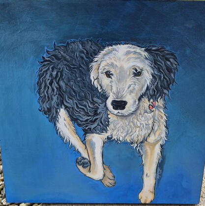 Pet portrait